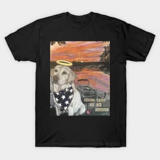 Dog memorial: forever warm in the sunshine T-Shirt